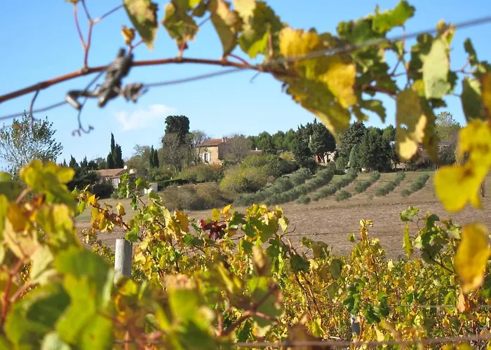 Domaine De La Bade * Raissac-sur-Lampy
